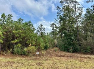 15886 Wood Grove Way LOT 10, Willis, TX 77378