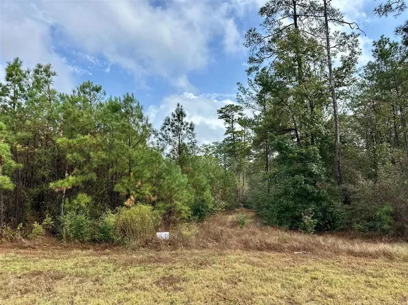 15886 Wood Grove Way Lot 10, Willis, TX 77378