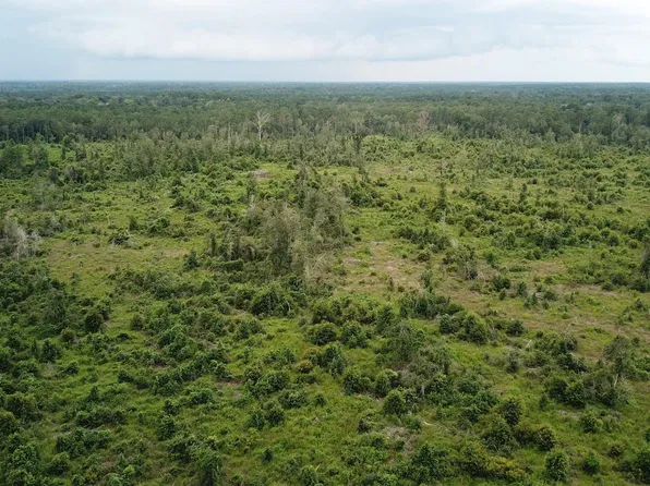 County Road 3089, Kirbyville, TX 75956