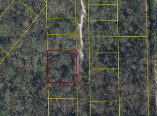 Hickory Ln, Live Oak, FL 32060
