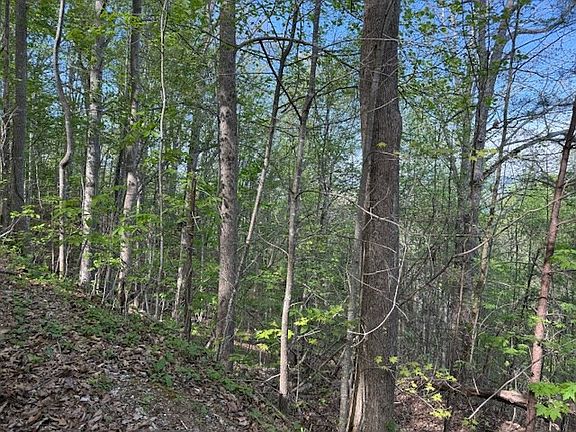 2nd image of 0 Mining Gap Rd
