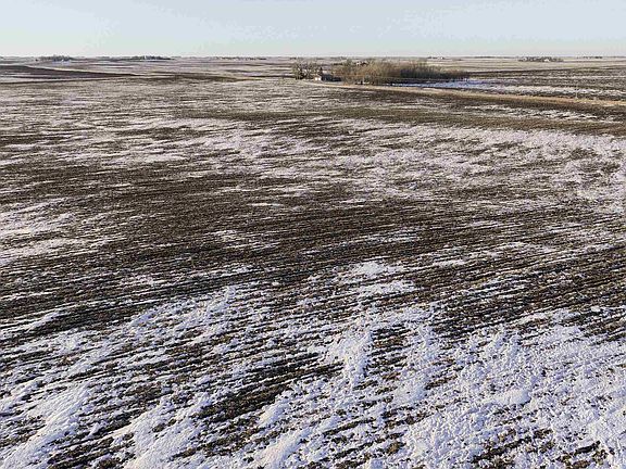 3rd image of 4406 90th Ave