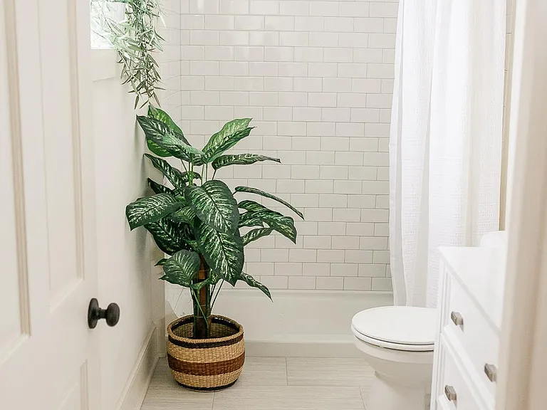 Downstairs bathroom.