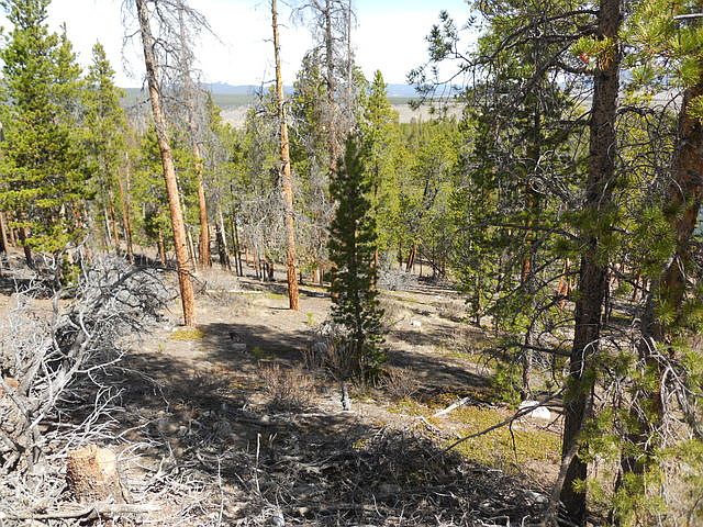 1st image of 1297 Sequoia Dr