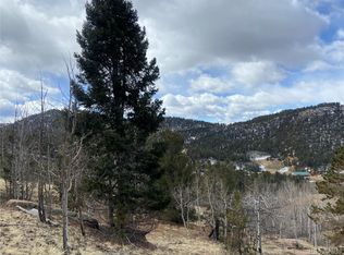 37 Wild Horse Cir, Cripple Creek, CO 80813