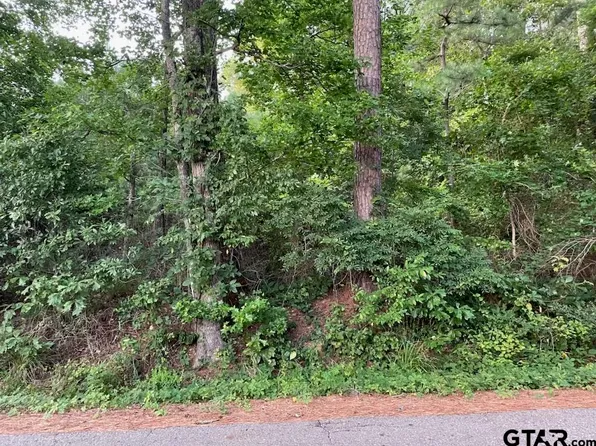 County Road 4705, Troup, TX 75789