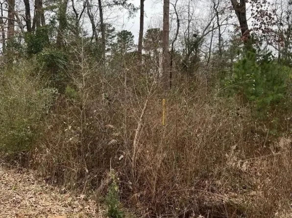 Arrowhead Dr, Jefferson, TX 75657