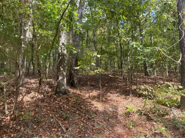 High Smith Rd, Finger, TN 38334