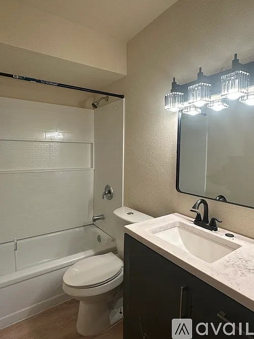 Large 1 bedroom 1 bath with Gorgeous Lakeview — Photo 3