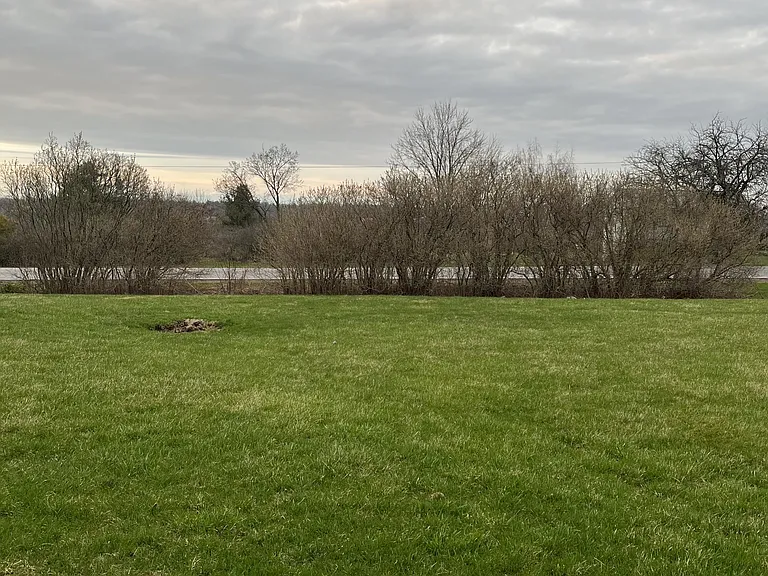 15678 County Road 5 — Photo 19
