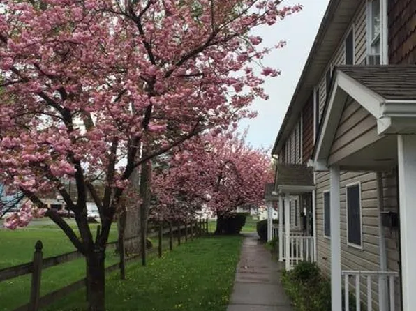 42 Borough St APT D, East Stroudsburg, PA 18301