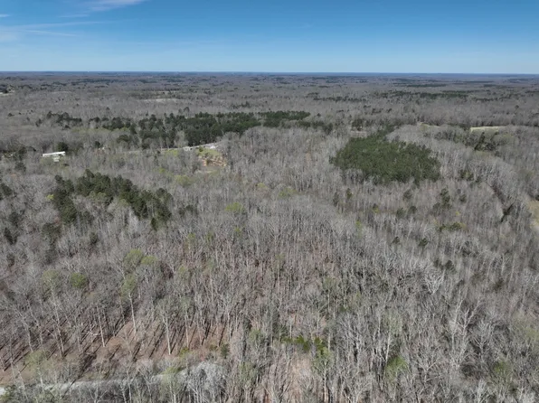 255 War Eagle Dr, Cedar Grove, TN 38321