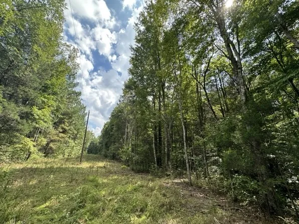 0 Roberts Creek Rd Lot 8.02, Waverly, TN 37185