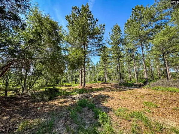 0 Lewis Waters Rd Lot 2, Leesville, SC 29070