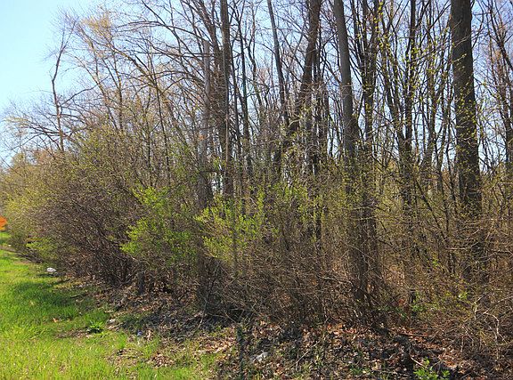 5th image of 28884 N State Route 83