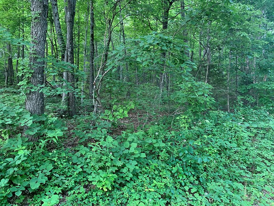 2nd image of Copper Ridge Rd