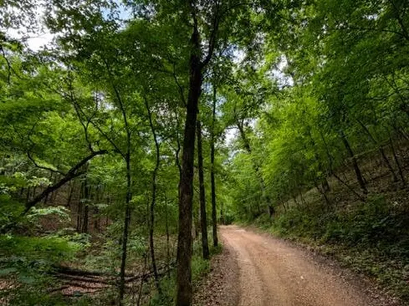 000 Oak Thicket Lane, Galena, MO 65656