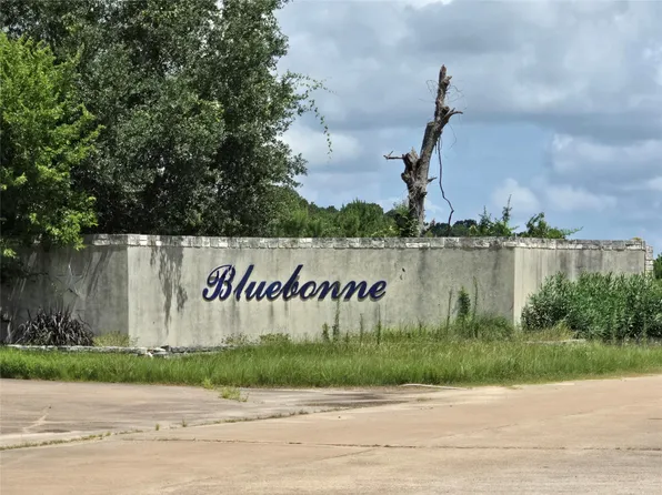 Nelson Ln, Navasota, TX 77868