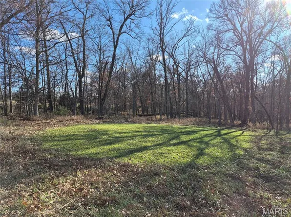 0 County Road 197 Tract #2, Montgomery City, MO 63361