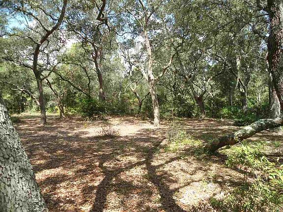4th image of 1061 Spanish Moss Dr