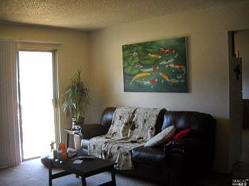 5th image of 4930 Burke Hill Dr