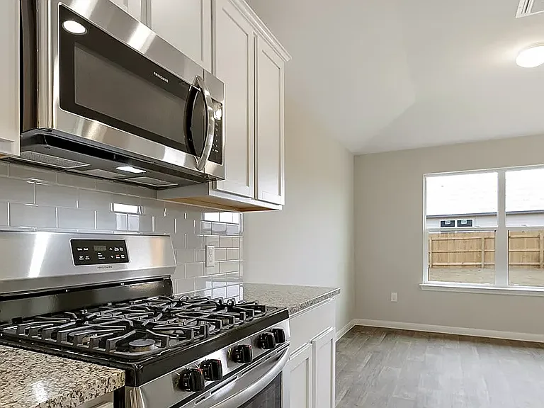 169 Arrowhead Vine St — Photo 10