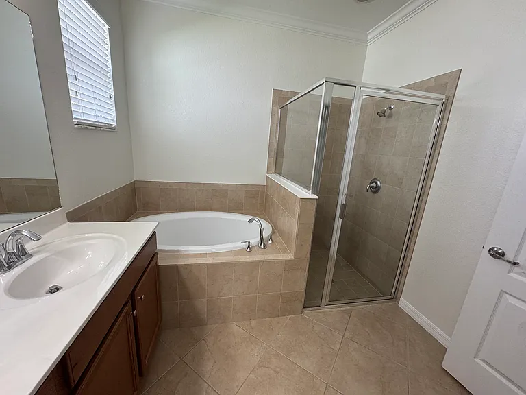 Master Bath Tub & Shower