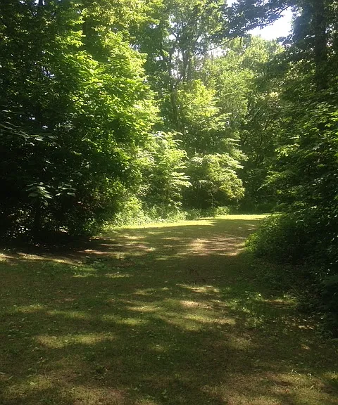 Glenwood Park in Summer