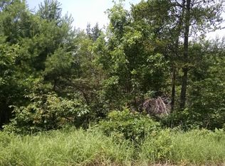 5883 S Twin Creek Rd, Idlewild, MI 49642