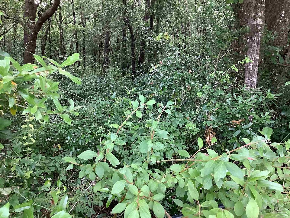 2nd image of 0 Tanglewood Dr