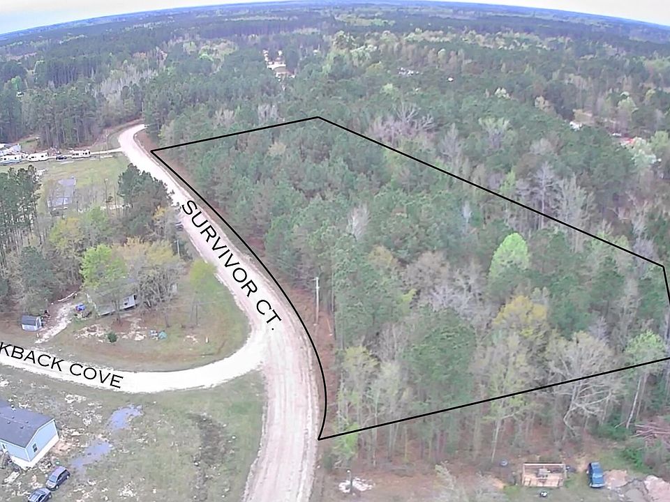 1st image of Survivor Ct