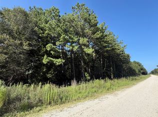 TRACT 51 Black Cat Rd Lot T-51, Sour Lake, TX 77659