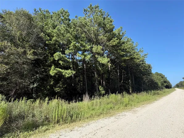 TRACT 51 Black Cat Rd Lot T-51, Sour Lake, TX 77659