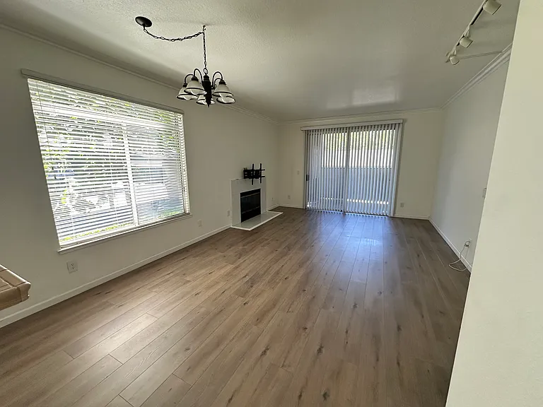 125 Hobson St #1A — Photo 3