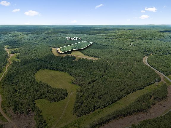 3rd image of 1420 Big Swan Creek Rd Tract 4