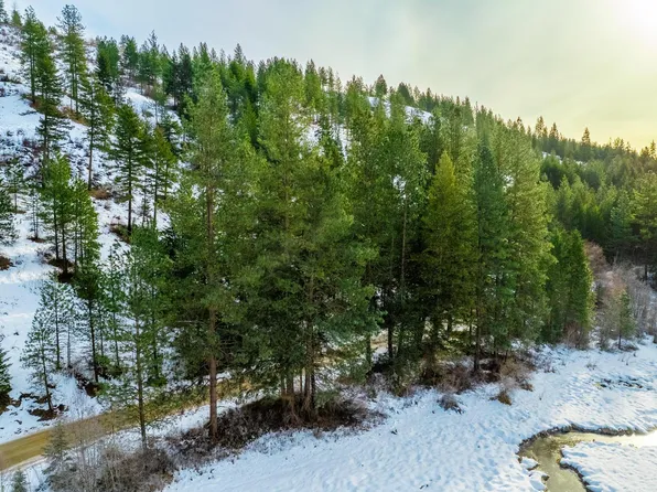 25XX Hall Creek Rd, Inchelium, WA 99138