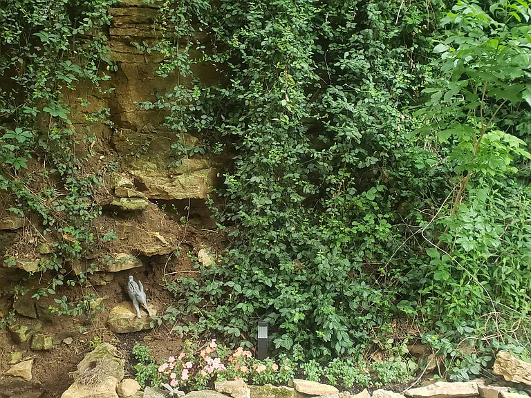 Rock wall in backyard