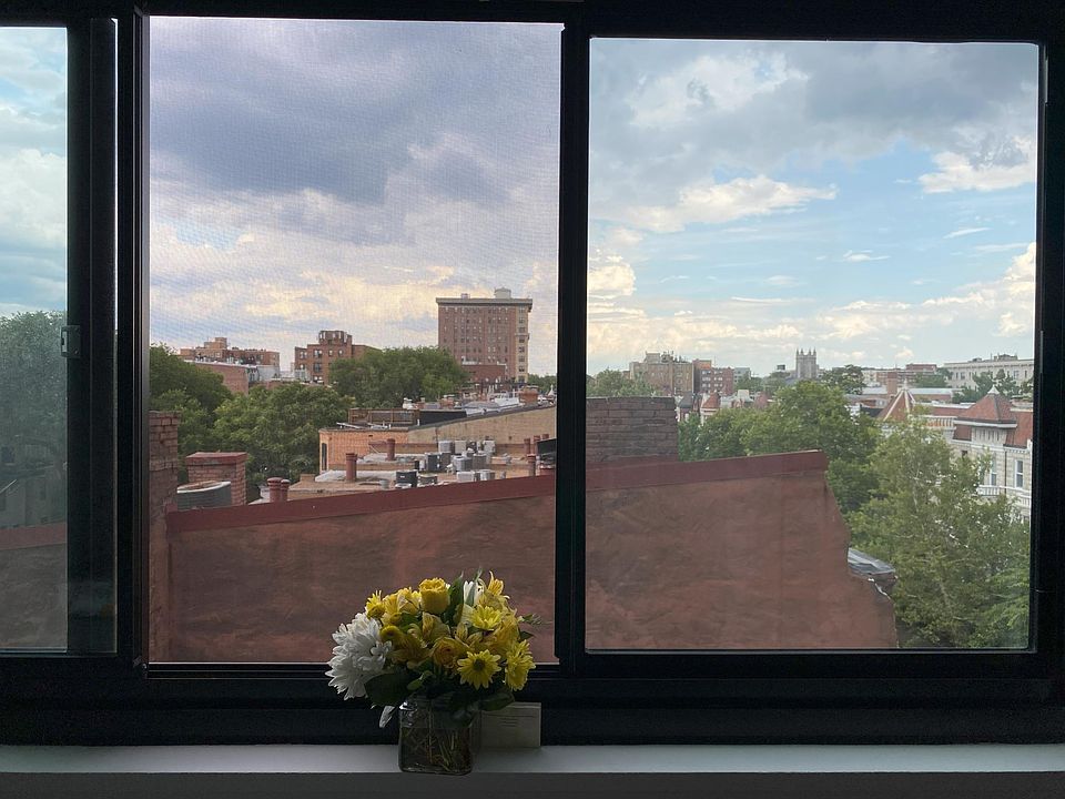 window view
