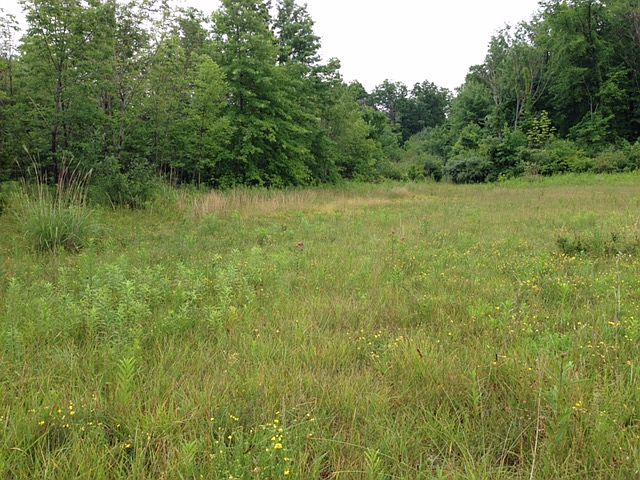 2nd image of Sub King Memorial Rd #17