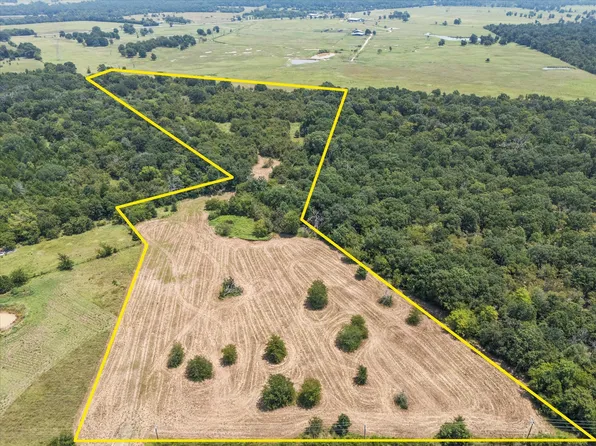 883 Fm 1653, Ben Wheeler, TX 75754