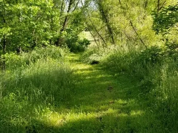 Bluebird Trl, Marshall, MO 65340