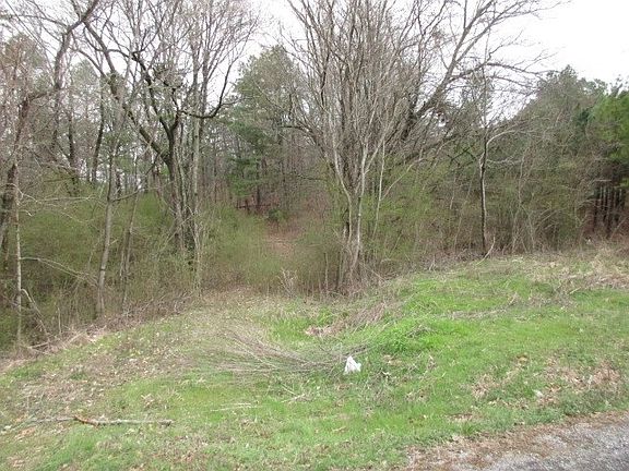 2nd image of 203 Boofer Ln