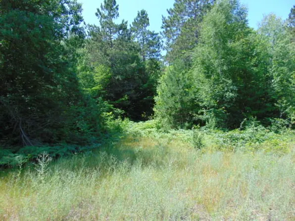 0 Winding Wood Run, Newberry, MI 49868