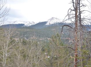 233 Horseshoe Dr, Divide, CO 80814