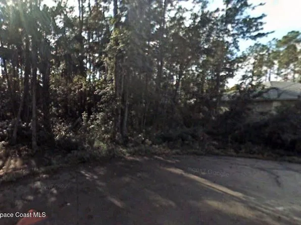 20 Lleberry Path, Palm Coast, FL 32164