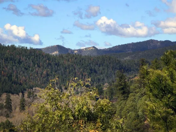 2519 County RD 335, Pagosa Springs, CO 81147