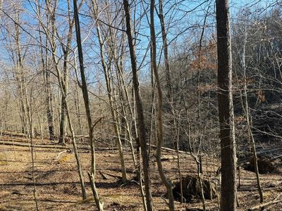 0 Wolverine Dr SE, Sugar Grove, OH, 43155