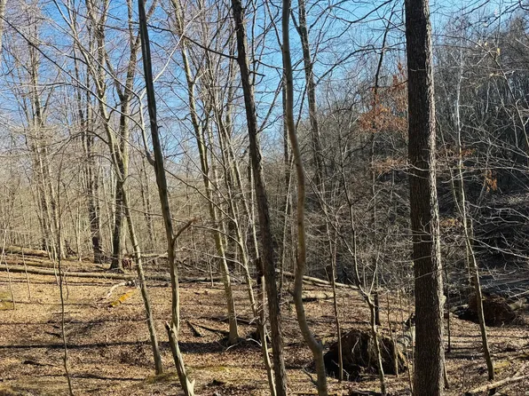 0 Wolverine Dr SE, Sugar Grove, OH 43155