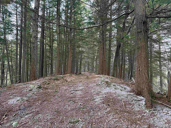 5th image of Forrester Road