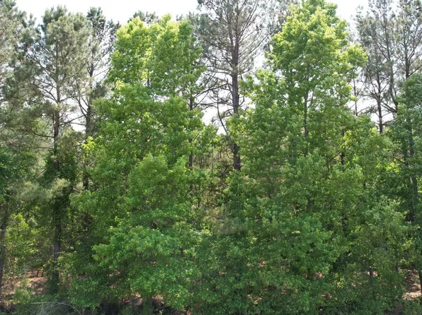 00 East Beulah Rd., Lake City, SC 29560